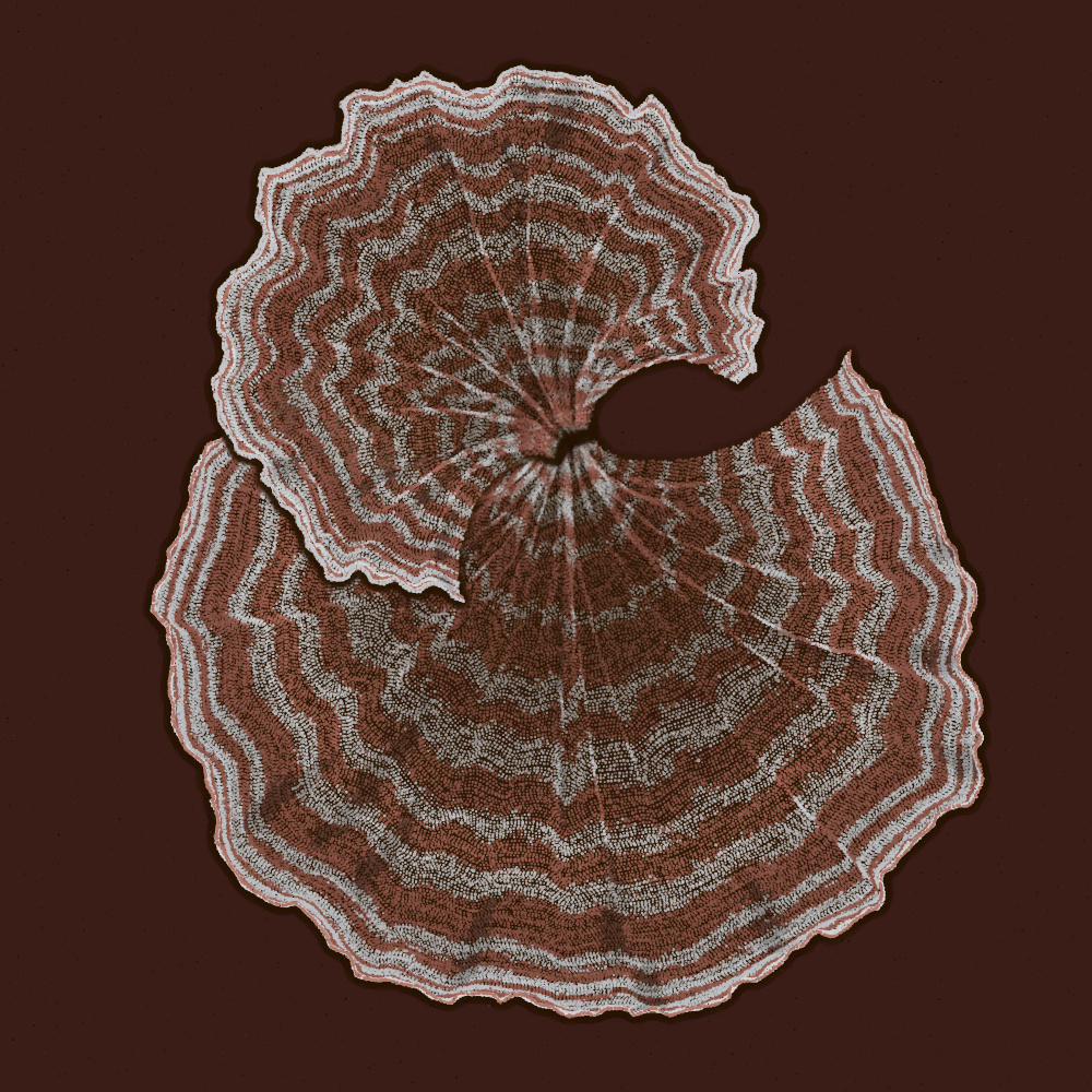 Padina #41, 2022. Paweł Grzelak. MIME: application/x-directory, Token: FA2, Storage: IPFS, Contract: KT1...