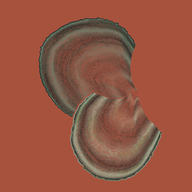 Padina #107, 2022. Paweł Grzelak. MIME: application/x-directory, Token: FA2, Storage: IPFS, Contract: KT1...