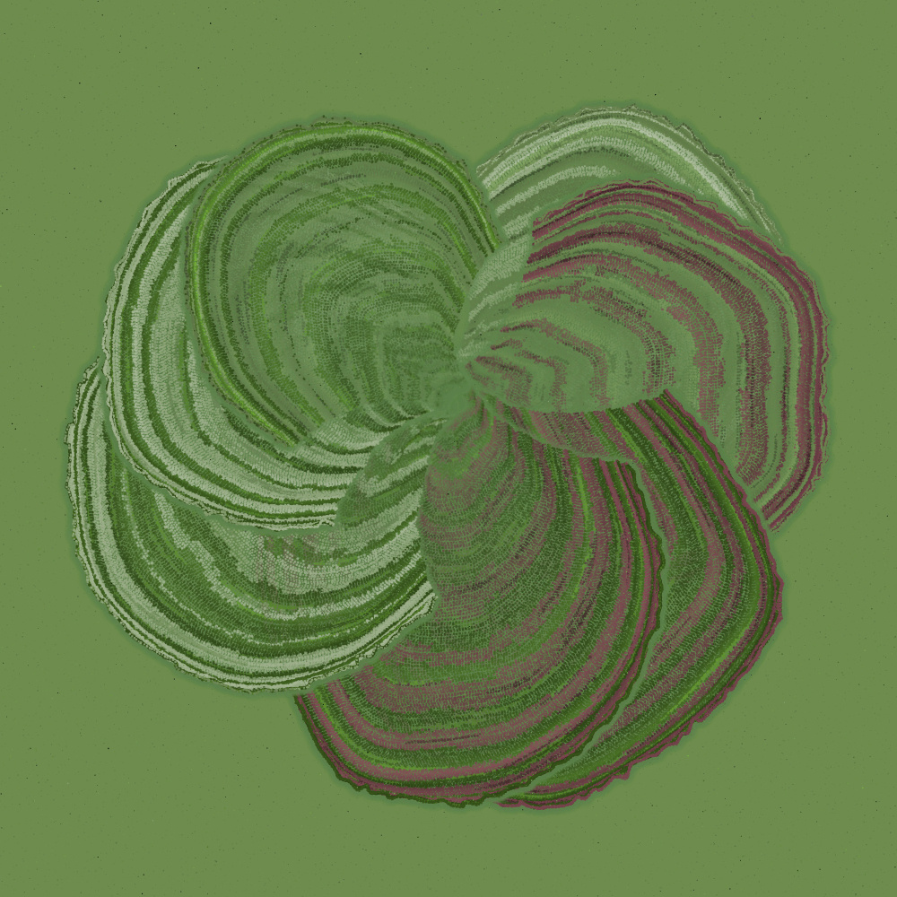 Padina #8, 2022. Paweł Grzelak. MIME: application/x-directory, Token: FA2, Storage: IPFS, Contract: KT1...