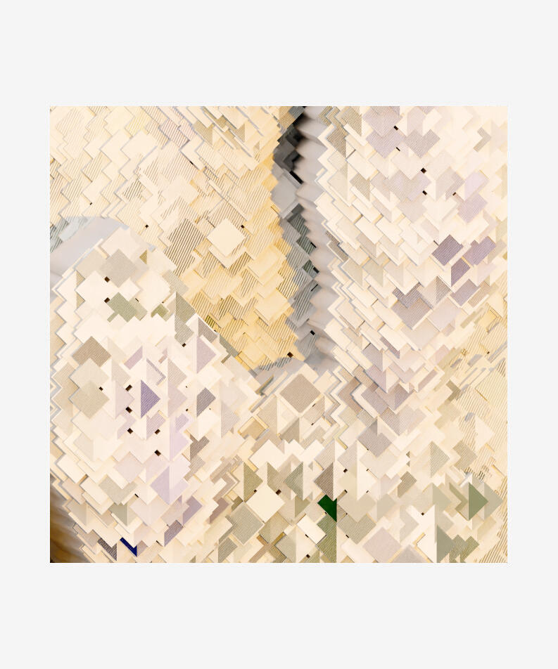 Luis E. Fraguada Spain Biota: Echium 007, 2022 Mixed-media digital, editioned