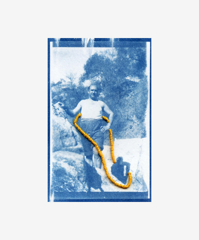 Bosque Gracias Argentina Energy wheels 005, 2023 Mixed-media digital, editioned