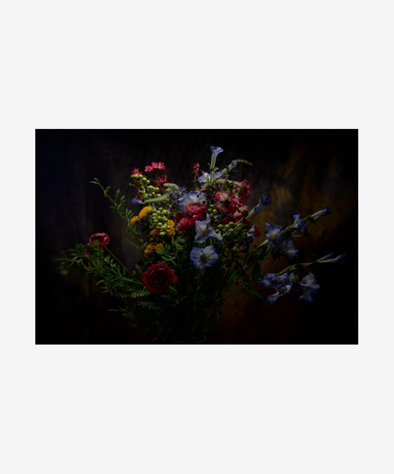 Juliet Haas United States A Light in the Darkness, 2023 Photograph, editioned