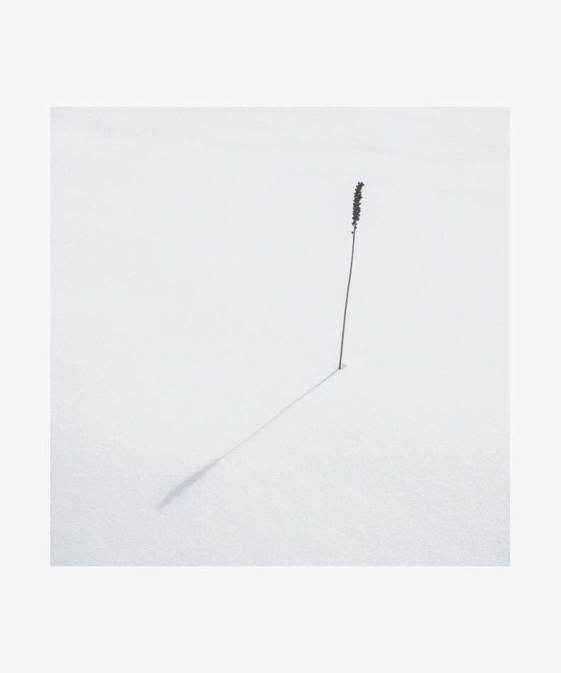 Sonny Baccam France Standing Still, 2021 Photograph, editioned