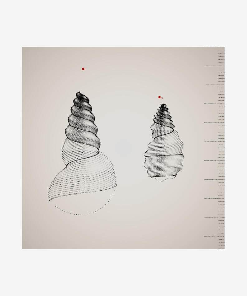 Orr Kislev Israel Two Specimen, 2021 Code-based generative, long-form