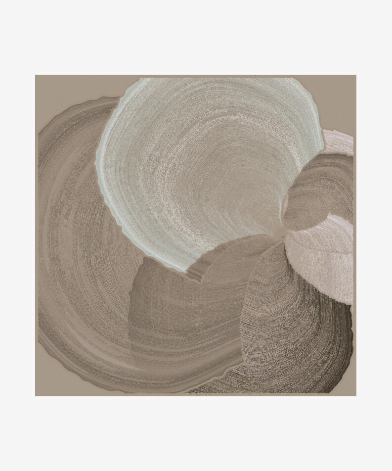 Paweł Grzelak Poland Padina, 2022 Code-based generative, long-form