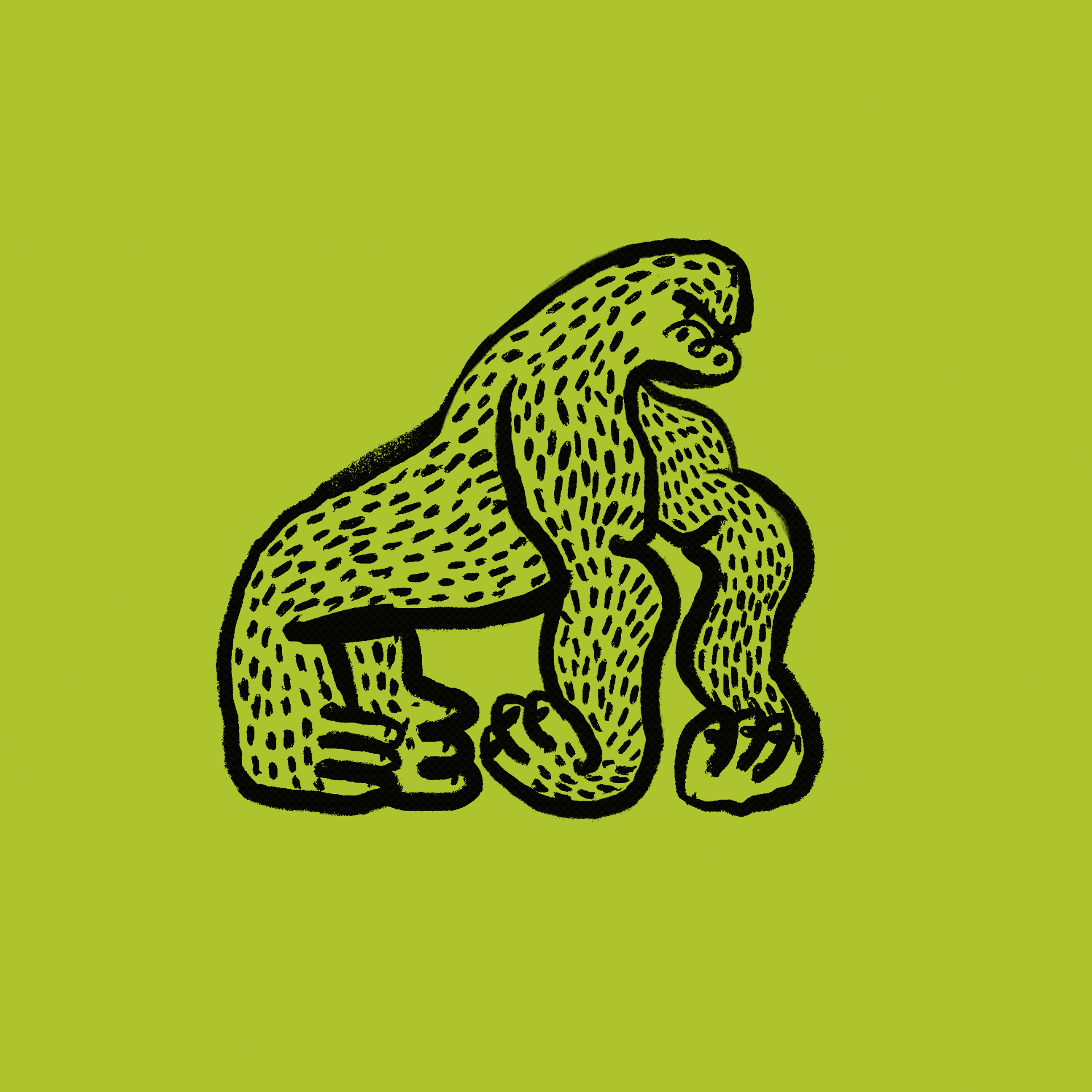 Gorilla, 2021. Cem Hasimi. MIME: image/gif, Token: FA2, Storage: IPFS, Contract: KT1...